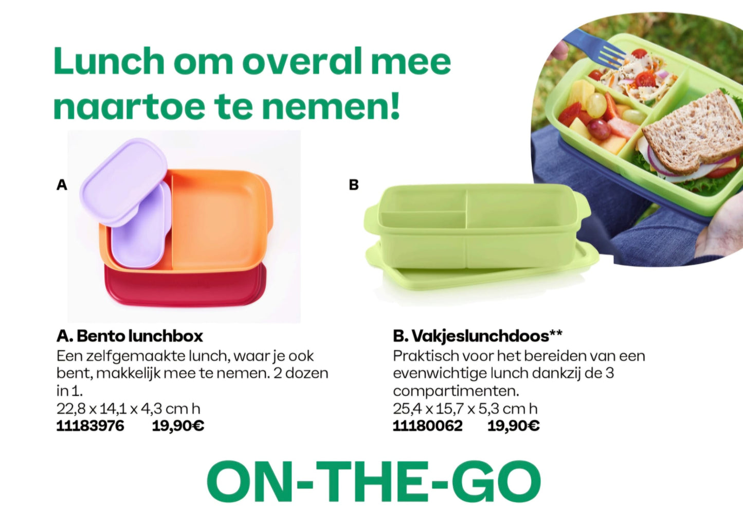 bento lunchbox 11183976