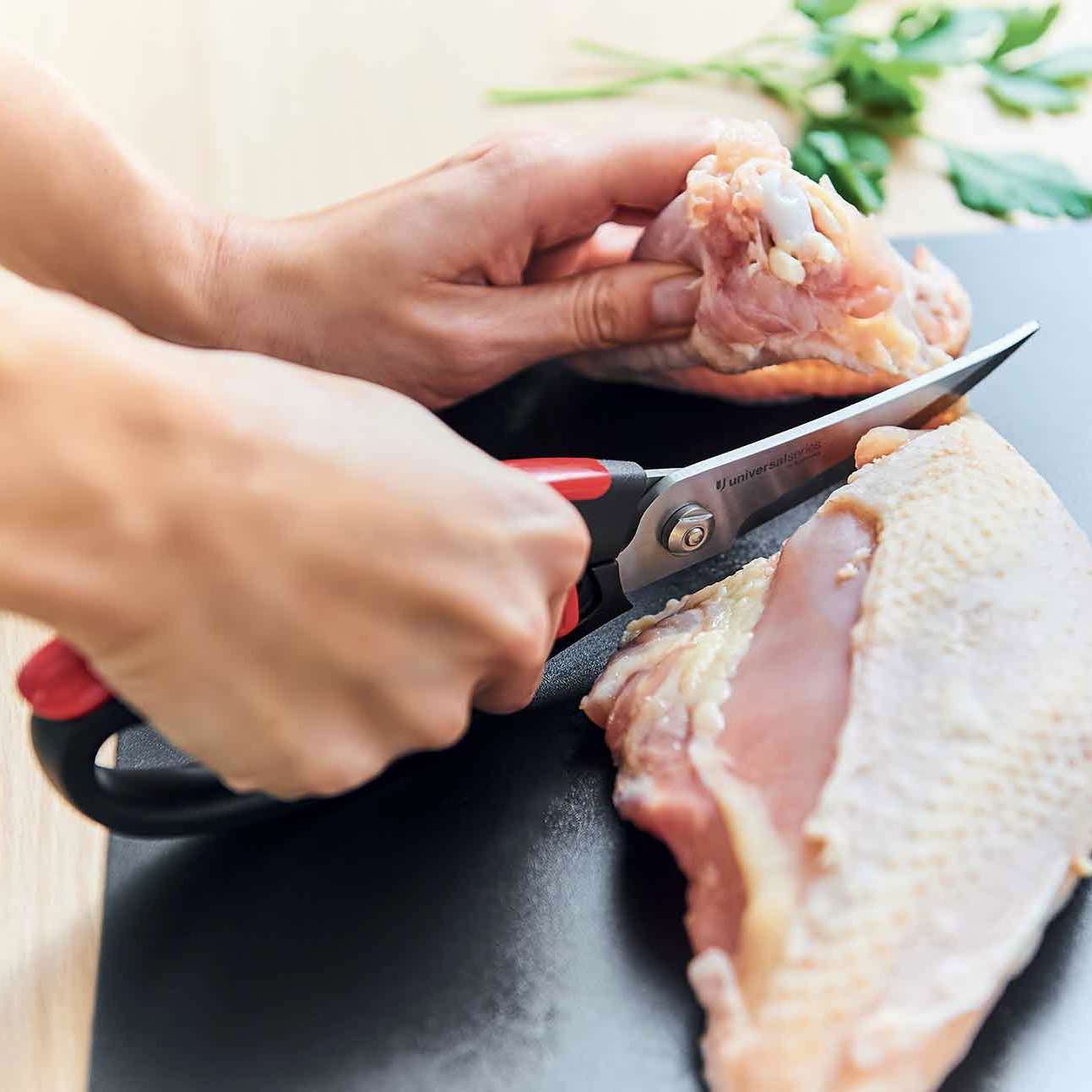 maandpromo kerstfolder gevogelteschaar 11136165