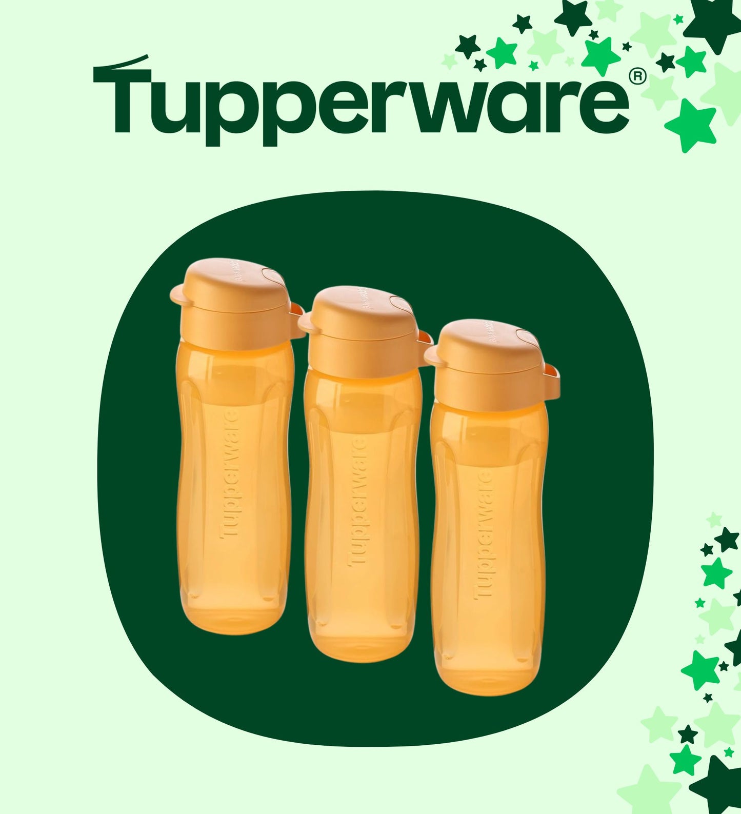 maandpromo 3 ecoflessen slim plus 26ss005