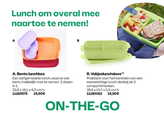 bento lunchbox  11183976