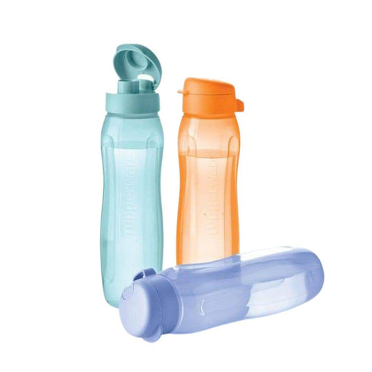 maandpromo 3 ecoflessen slim plus 750 ml 11170002